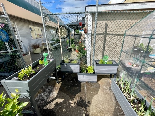 Connections garden project ready to enjoy