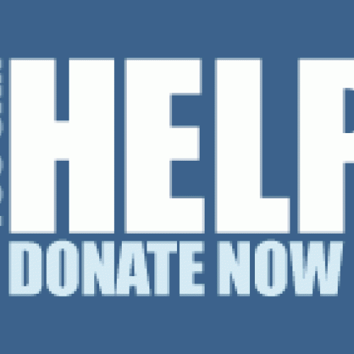 donate now banner